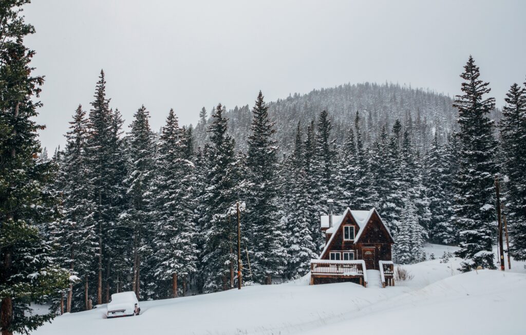 Snowy cabin in an evergreen forest in Colorado.