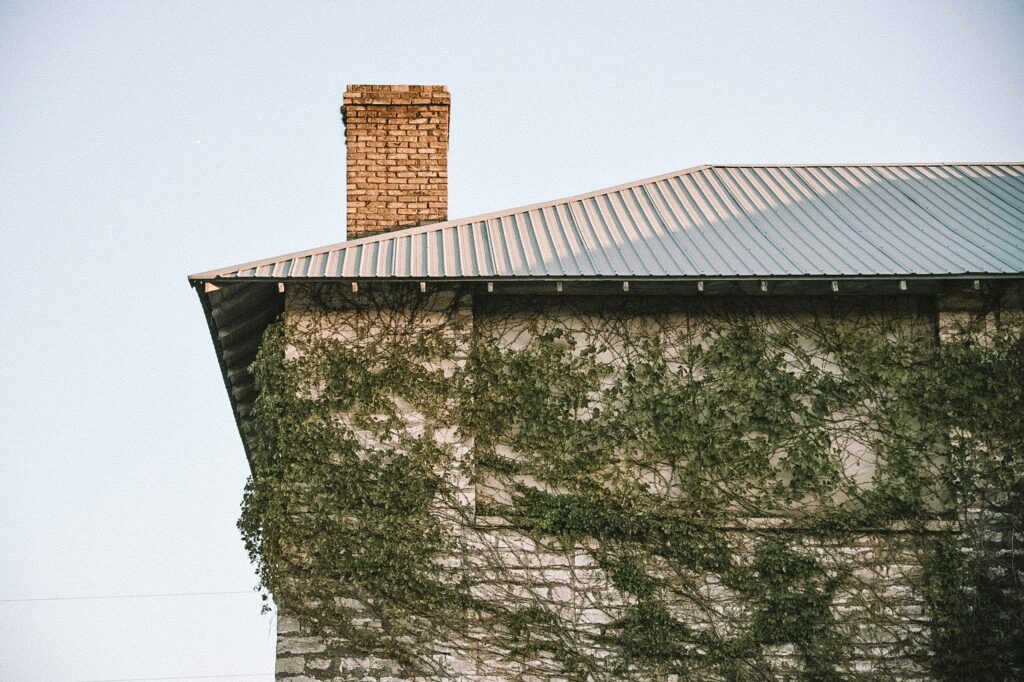 Edge of a house and its chimney with vines growing on the house.