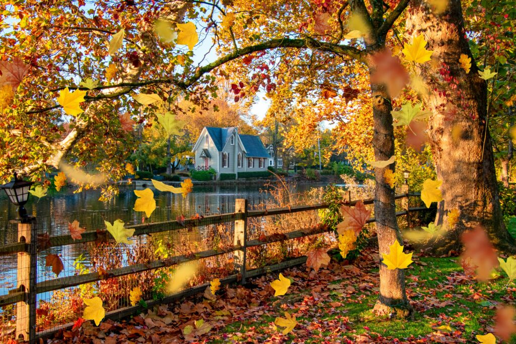 A beautiful shot in Pennsylvania with a house in the center surrounded by orange leaves of an American Sycamore tree.