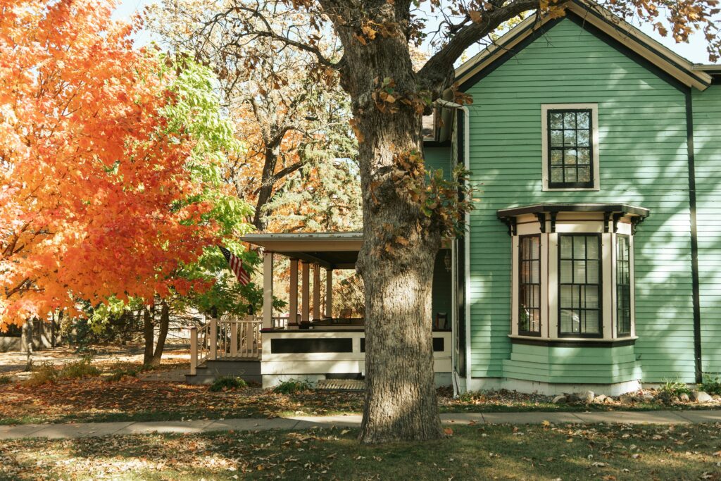 A front view of a house, a big trunk of tree in the middle and trees on the left side with green and orange leaves.